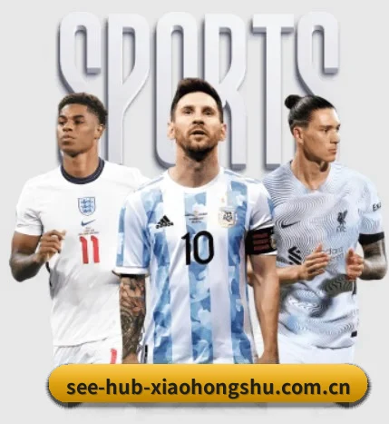五大服务分区,内容按项目分类组织